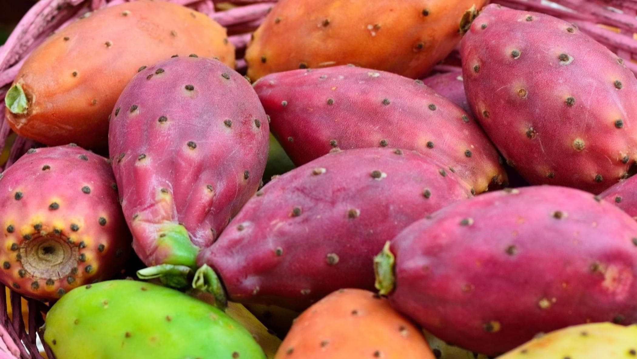 Etna PDO Prickly pear: a consortium for protection and promotion was born