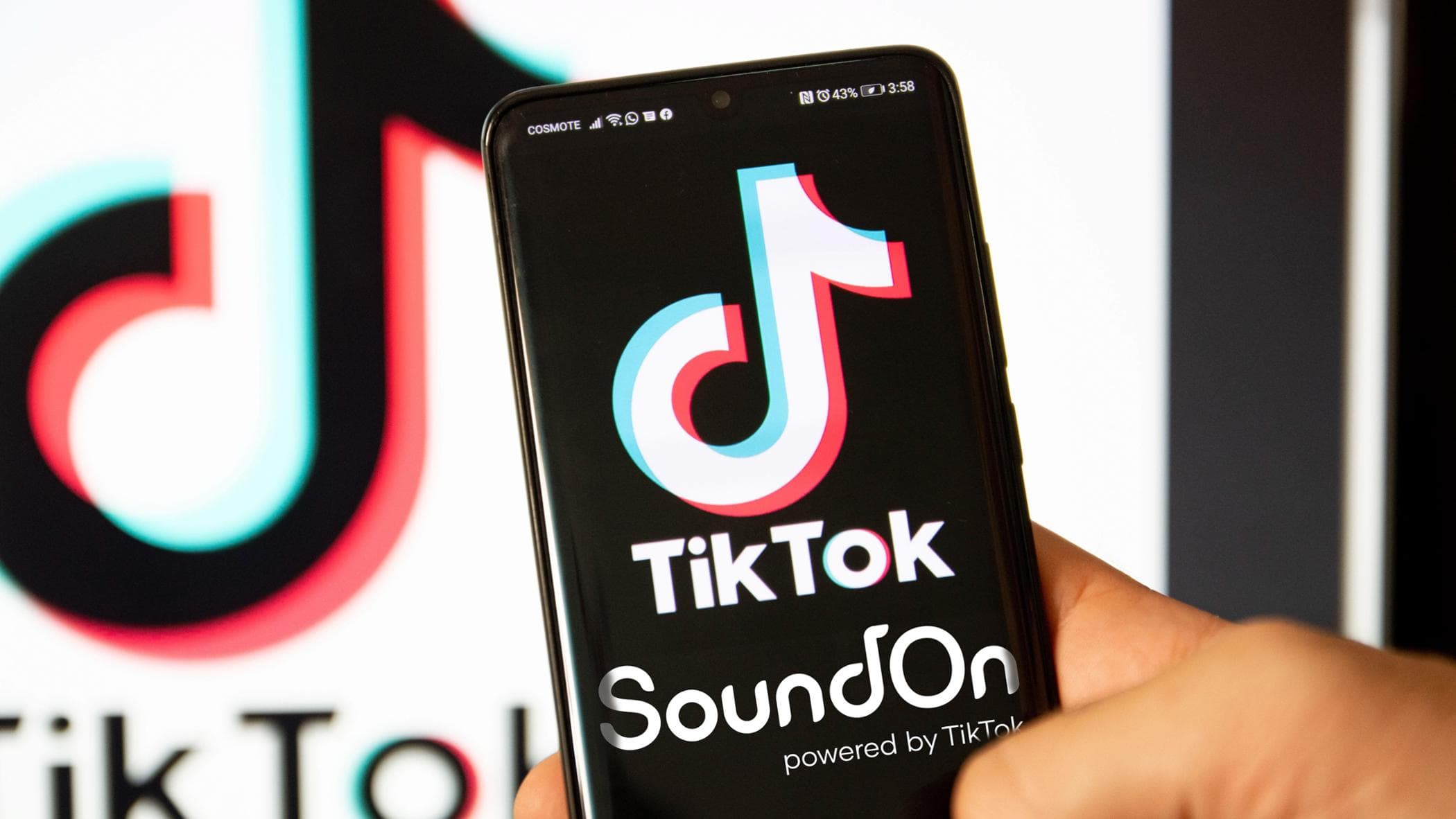Small business, business grows with social media.  TikTok is worth 1 billion to Italy